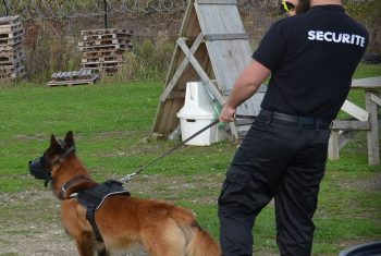 1200px-Maitre_chien
